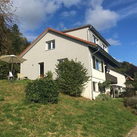 Alpenpanorama am Hochrhein Villa Gailingen Exteriör bild