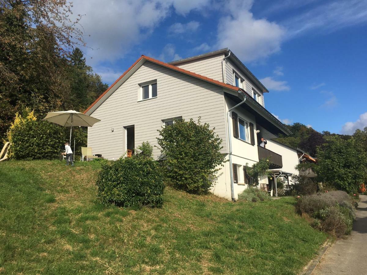 Alpenpanorama am Hochrhein Villa Gailingen Exteriör bild