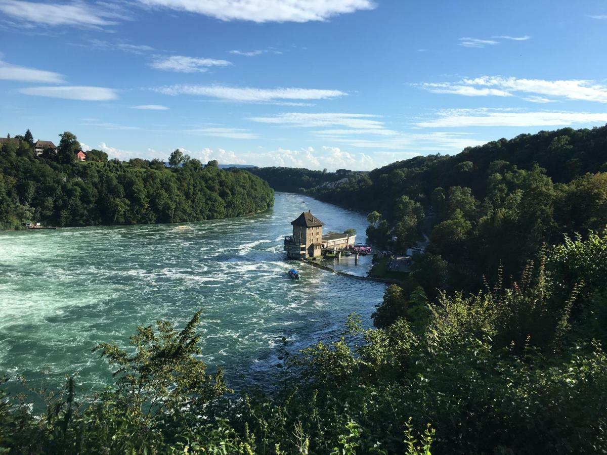 Alpenpanorama am Hochrhein Villa Gailingen Exteriör bild