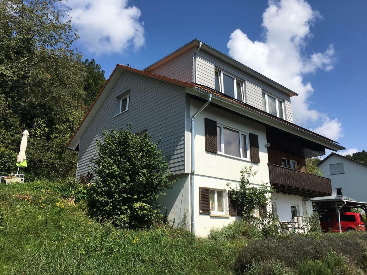 Alpenpanorama am Hochrhein Villa Gailingen Exteriör bild