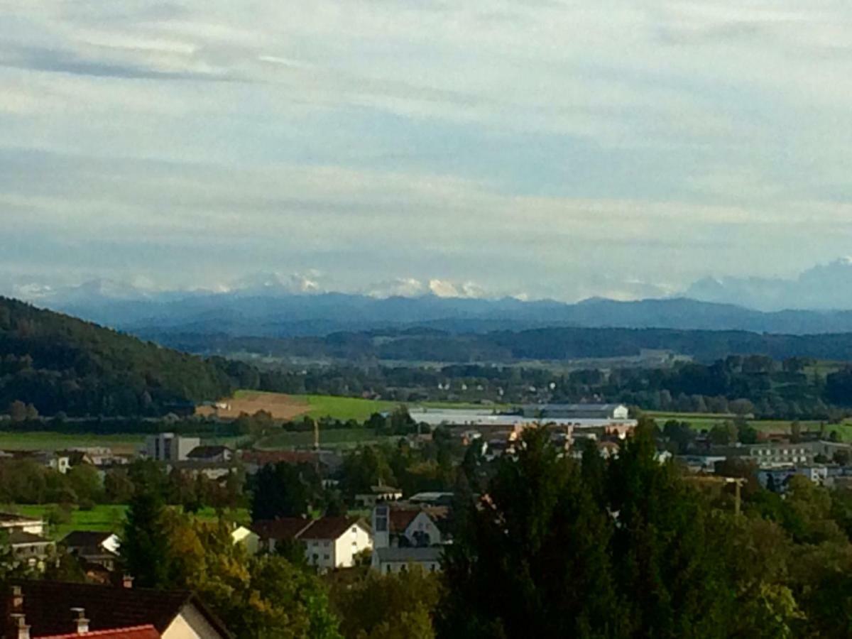 Alpenpanorama am Hochrhein Villa Gailingen Exteriör bild